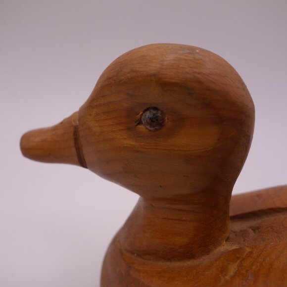 Wood Duck - Picture 4 of 16